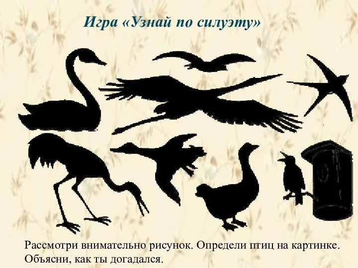 Игра «Узнай по силуэту» Рассмотри внимательно рисунок. Определи птиц на картинке. Объясни, как ты догадался.