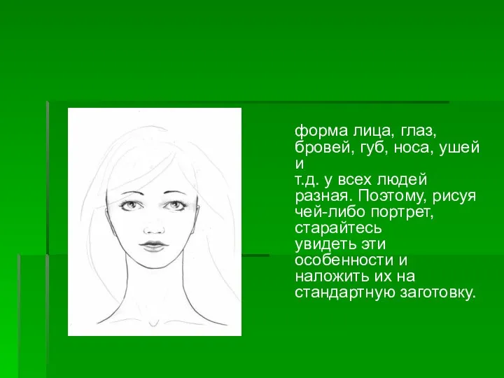 форма лица, глаз, бровей, губ, носа, ушей и т.д. у
