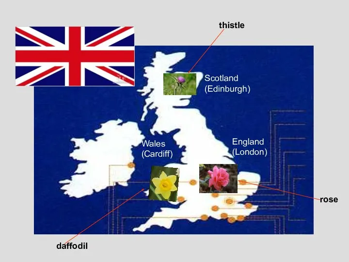 Scotland (Edinburgh) England (London) Wales (Cardiff) thistle rose daffodil