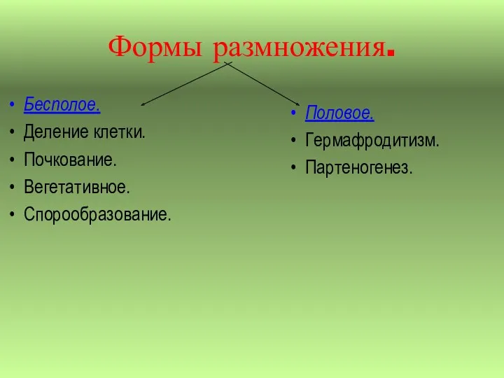 Формы размножения. Бесполое. Деление клетки. Почкование. Вегетативное. Спорообразование. Половое. Гермафродитизм. Партеногенез.