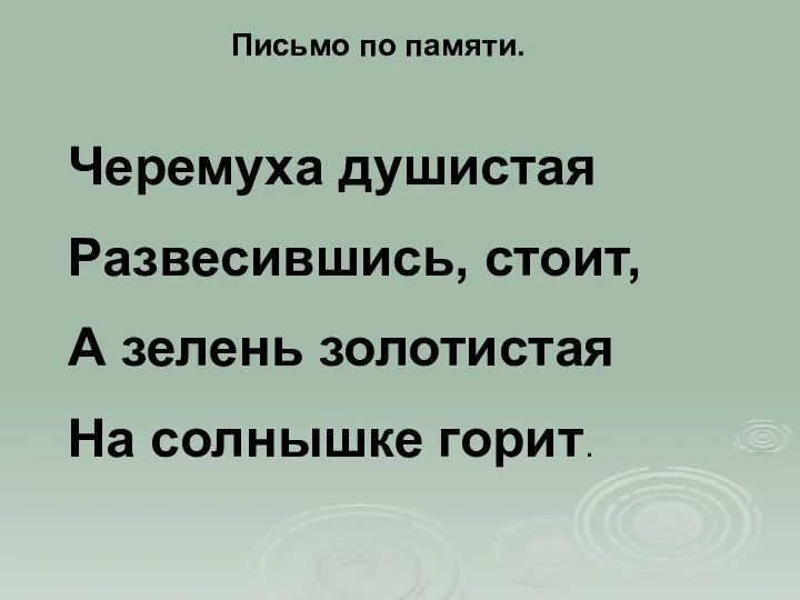 Письмо по памяти. Черемуха душистая Развесившись, стоит, А зелень золотистая На солнышке горит.