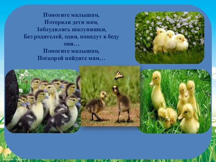 Помогите малышам, Потеряли дети мам, Заблудились шалунишки, Без родителей, одни,