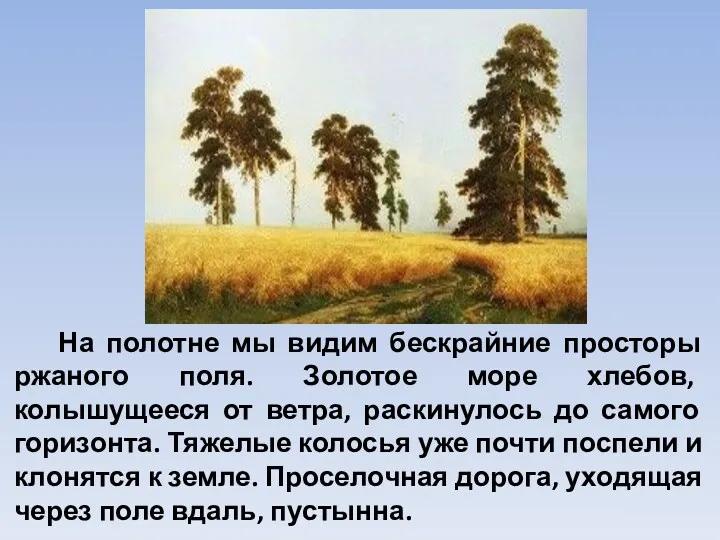 На полотне мы видим бескрайние просторы ржаного поля. Золотое море