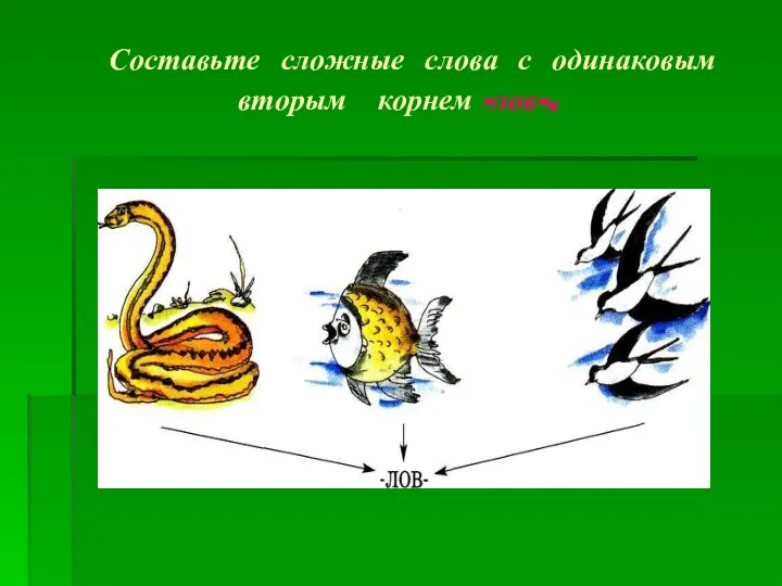 Составьте сложные слова с одинаковым вторым корнем -лов-.