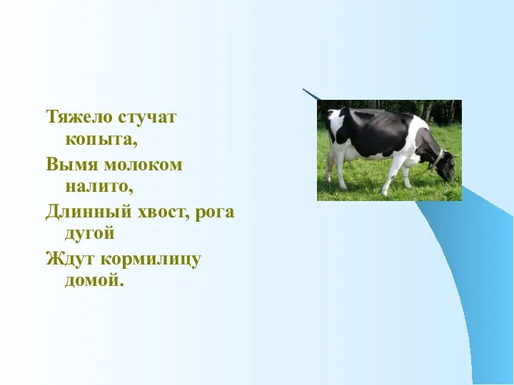 Тяжело стучат копыта, Вымя молоком налито, Длинный хвост, рога дугой Ждут кормилицу домой.