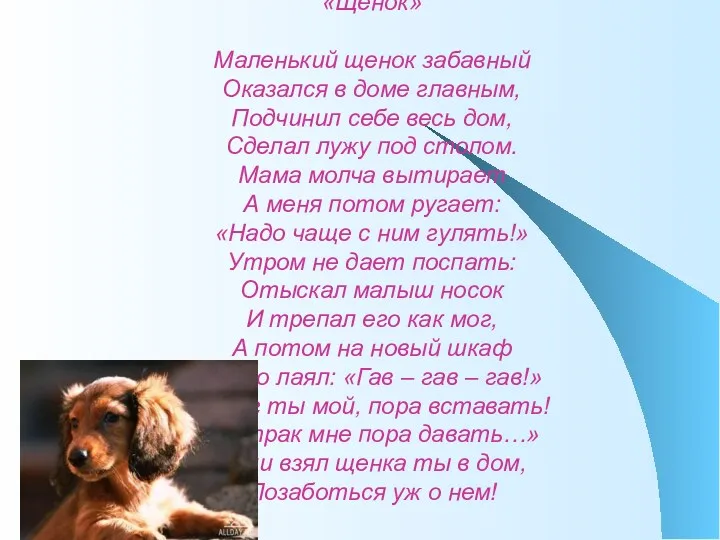 «Щенок» Маленький щенок забавный Оказался в доме главным, Подчинил себе