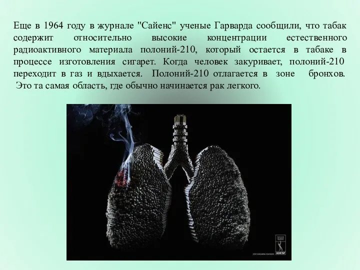 Еще в 1964 году в журнале "Сайенс" ученые Гарварда сообщили, что табак содержит