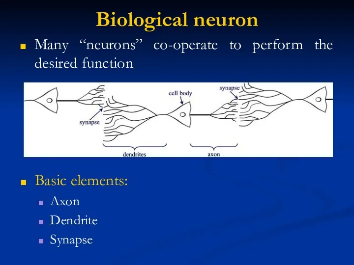 Biological neuron Many “neurons” co-operate to perform the desired function Basic elements: Axon Dendrite Synapse