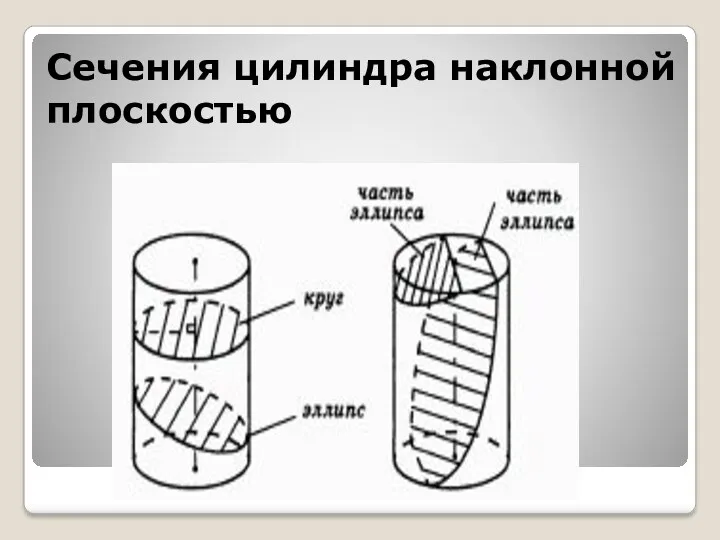 Сечения цилиндра наклонной плоскостью