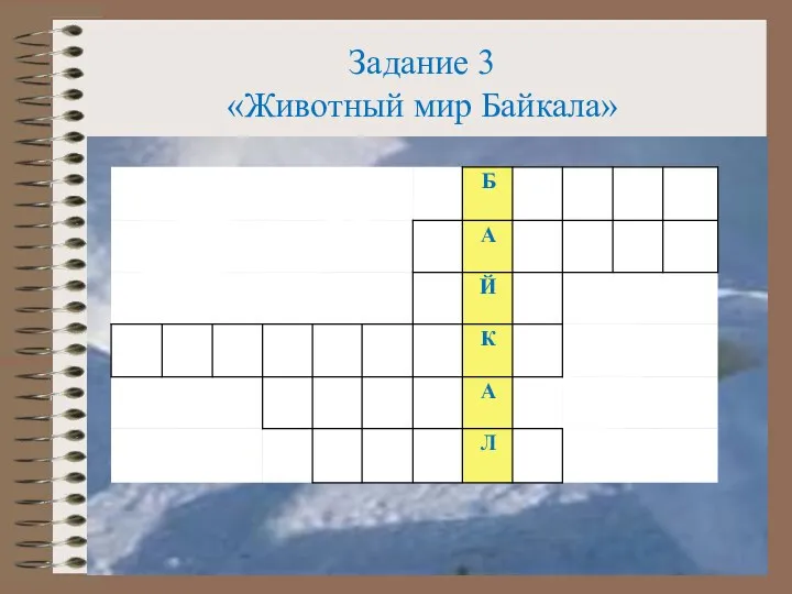 Задание 3 «Животный мир Байкала»