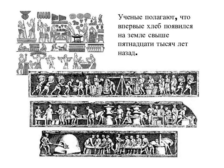 Ученые полагают, что впервые хлеб появился на земле свыше пятнадцати тысяч лет назад.