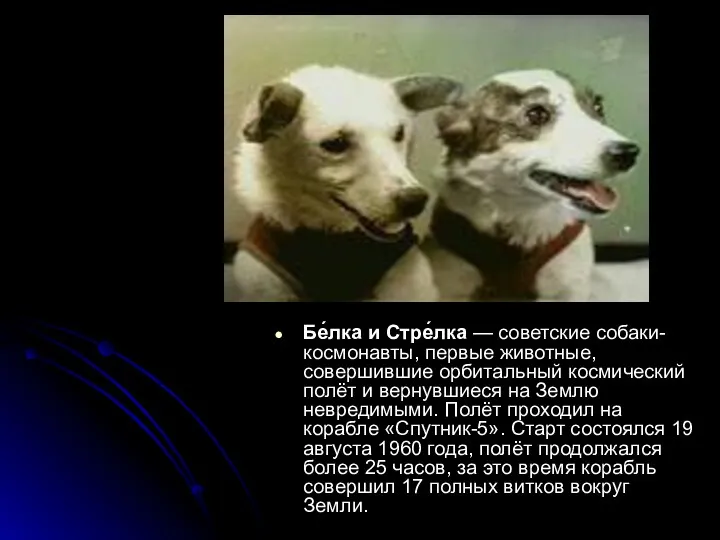 Бе́лка и Стре́лка — советские собаки-космонавты, первые животные, совершившие орбитальный космический полёт и