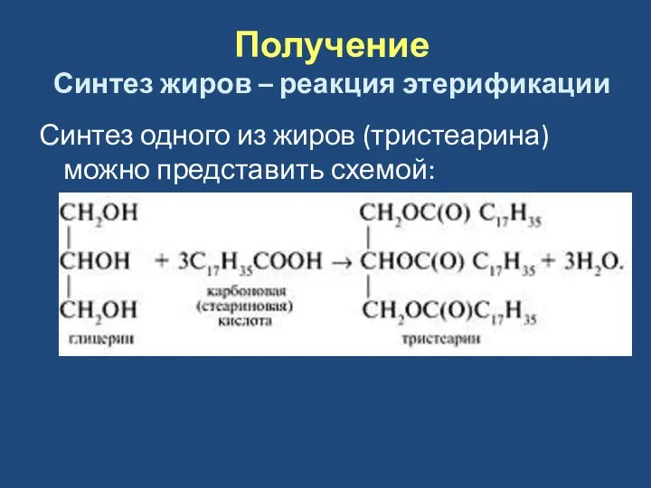Получение Синтез жиров – реакция этерификации Синтез одного из жиров (тристеарина) можно представить схемой: