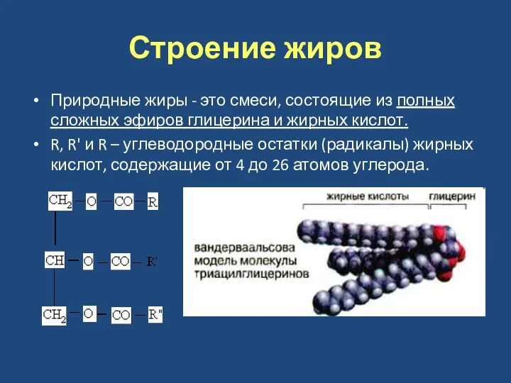 Строение жиров Природные жиры - это смеси, состоящие из полных