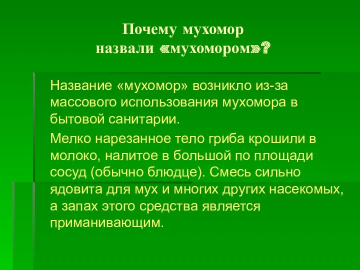 Почему мухомор назвали «мухомором»? Название «мухомор» возникло из-за массового использования