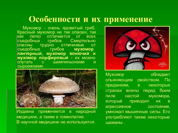 Особенности и их применение Мухомор - очень ядовитый гриб. Красный