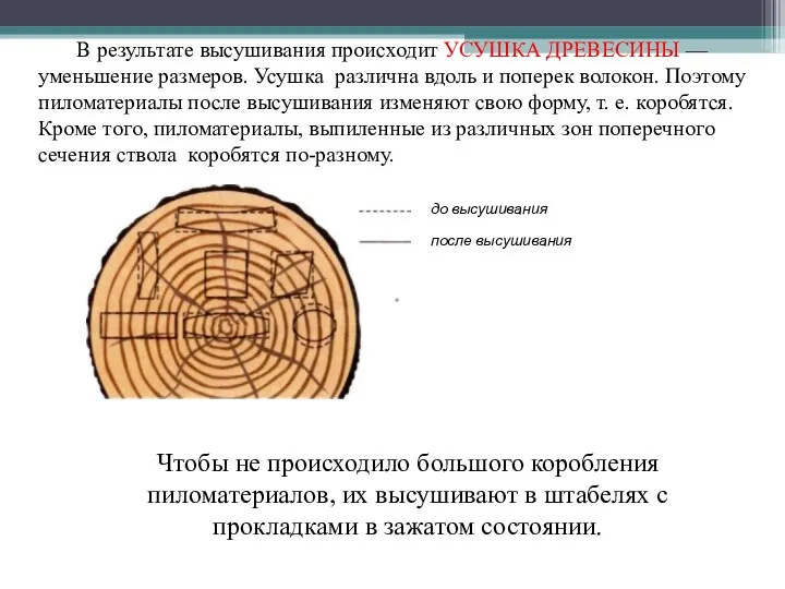 В результате высушивания происходит УСУШКА ДРЕВЕСИНЫ — уменьшение размеров. Усушка