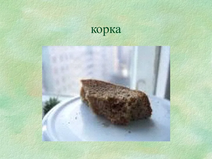 корка