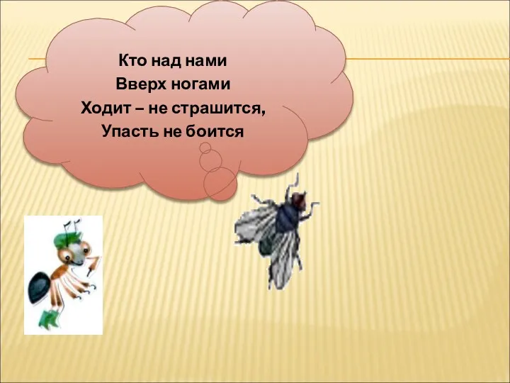 Кто над нами Вверх ногами Ходит – не страшится, Упасть не боится