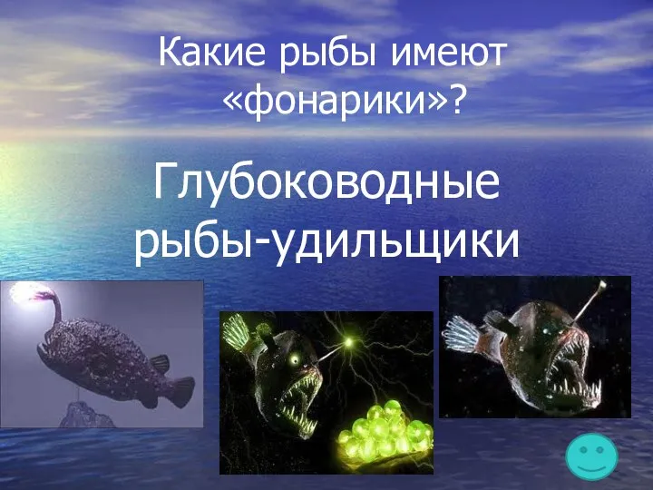 Какие рыбы имеют «фонарики»? Глубоководные рыбы-удильщики