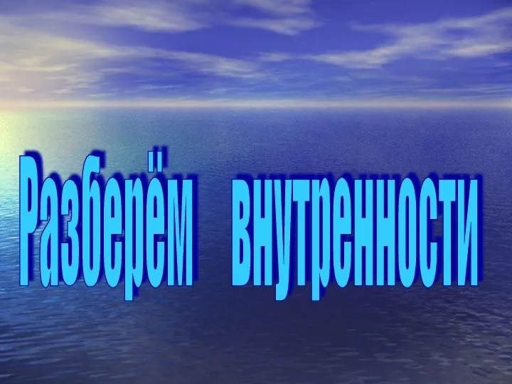 Разберём внутренности