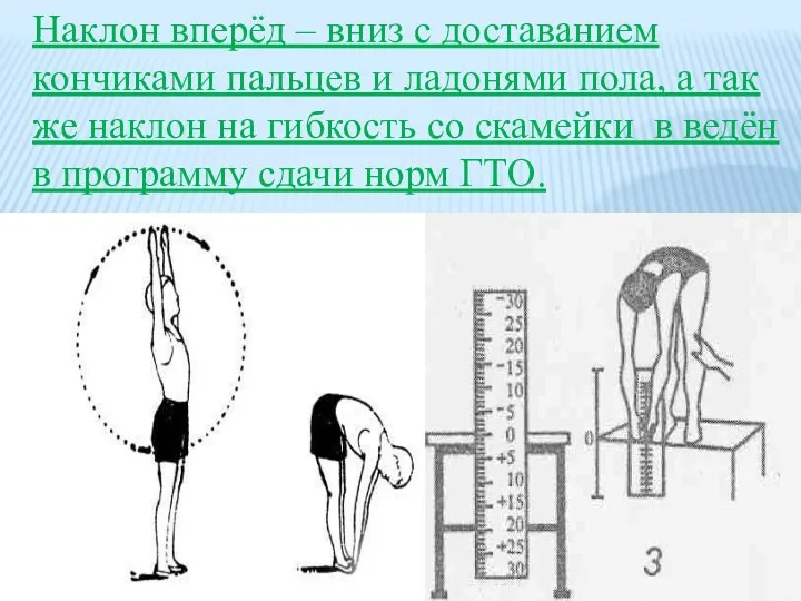 Наклон вперёд – вниз с доставанием кончиками пальцев и ладонями