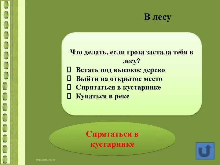 В лесу Спрятаться в кустарнике Что делать, если гроза застала