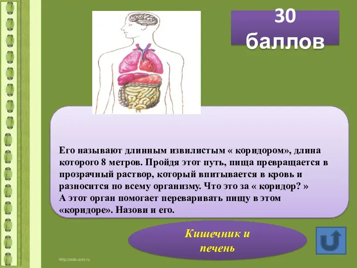 30 баллов Его называют длинным извилистым « коридором», длина которого