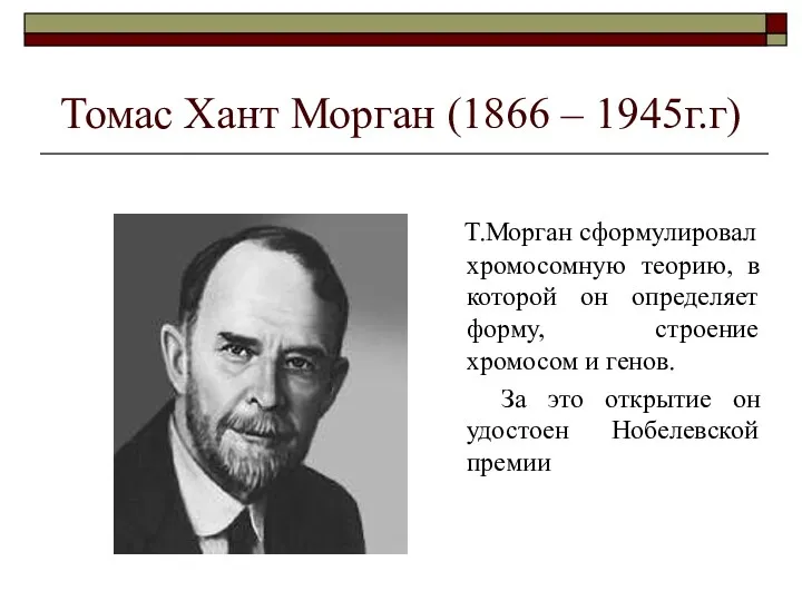 Томас Хант Морган (1866 – 1945г.г) Т.Морган сформулировал хромосомную теорию,