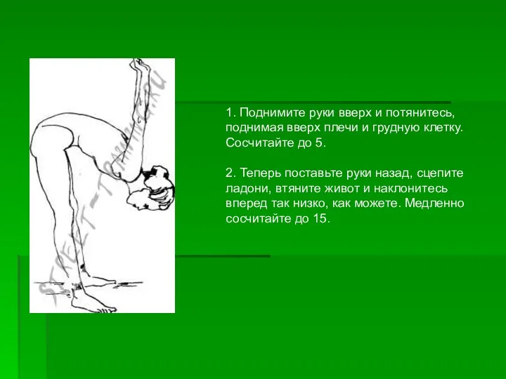 1. Поднимите руки вверх и потянитесь, поднимая вверх плечи и