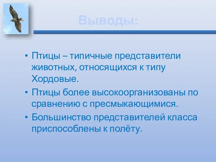 Выводы: Птицы – типичные представители животных, относящихся к типу Хордовые.