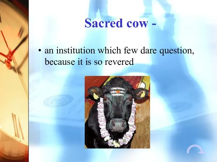 Sacred cow - an institution which few dare question, because it is so revered