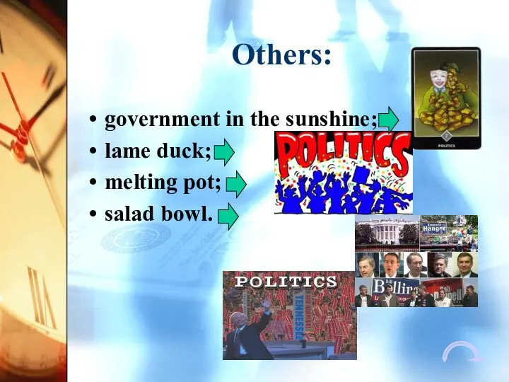 Others: government in the sunshine; lame duck; melting pot; salad bowl.