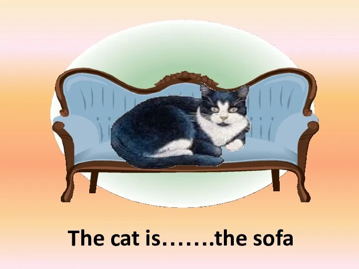 The cat is…….the sofa on