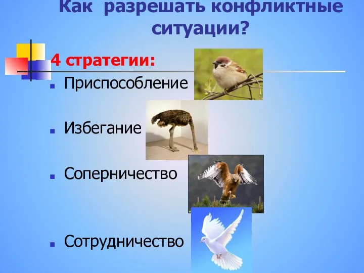 Как разрешать конфликтные ситуации? 4 стратегии: Приспособление Избегание Соперничество Сотрудничество