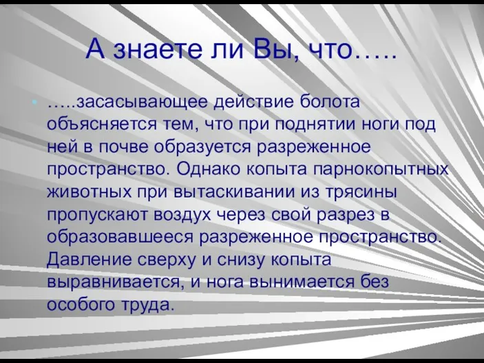 А знаете ли Вы, что….. …..засасывающее действие болота объясняется тем,