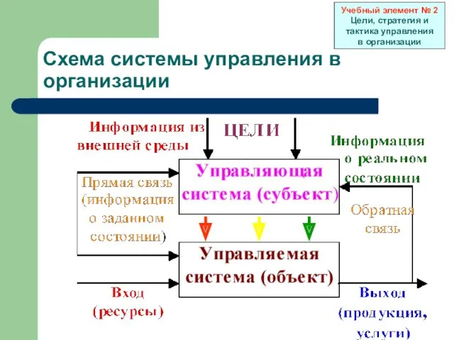 Схема системы управления в организации Учебный элемент № 2 Цели, стратегия и тактика управления в организации