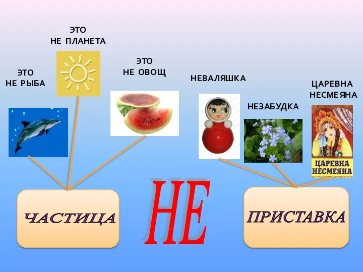 ЧАСТИЦА ПРИСТАВКА НЕ ЭТО НЕ РЫБА ЭТО НЕ ПЛАНЕТА ЭТО НЕ ОВОЩ НЕВАЛЯШКА НЕЗАБУДКА ЦАРЕВНА НЕСМЕЯНА