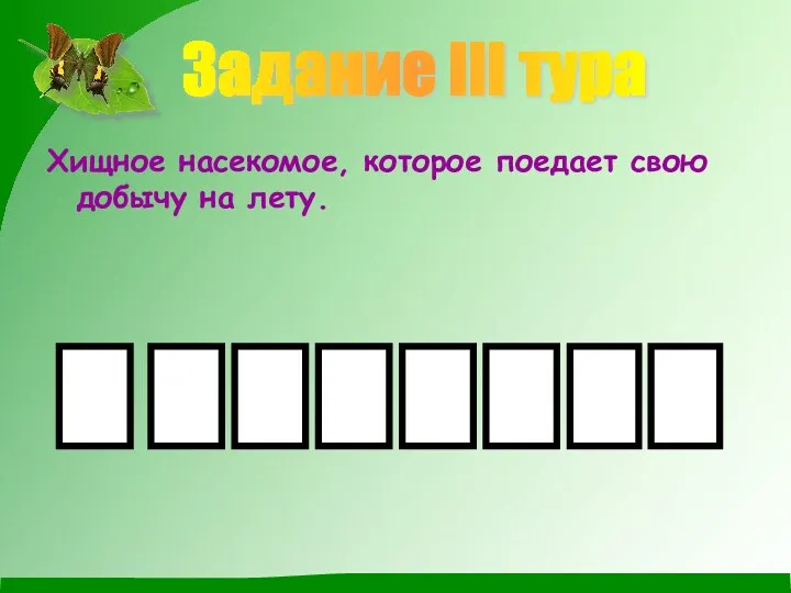 Задание III тура Хищное насекомое, которое поедает свою добычу на лету.