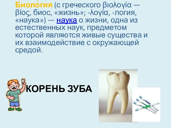 Корень зуба Биоло́гия (с греческого βιολογία — βίος, биос, «жизнь»;