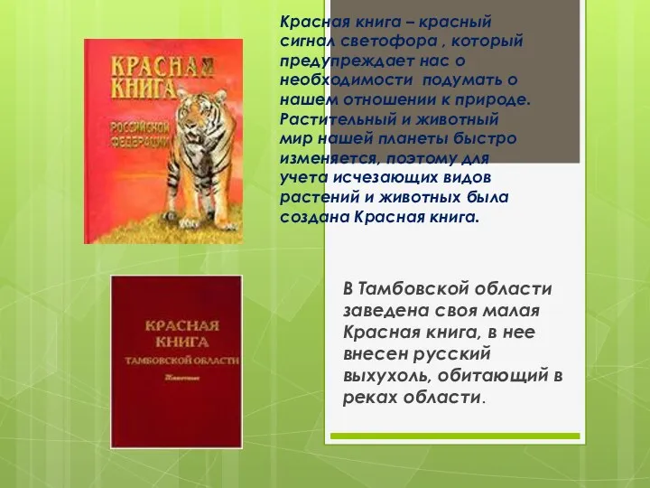 Красная книга – красный сигнал светофора , который предупреждает нас