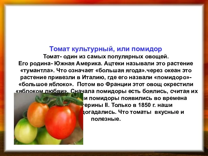 Томат культурный, или помидор Томат- один из самых популярных овощей.