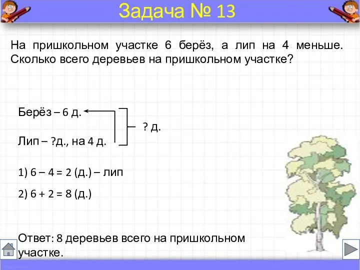 На пришкольном участке 6 берёз, а лип на 4 меньше.