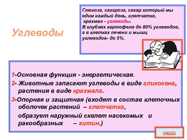 Глюкоза, сахароза, сахар который мы едим каждый день, клетчатка, крахмал