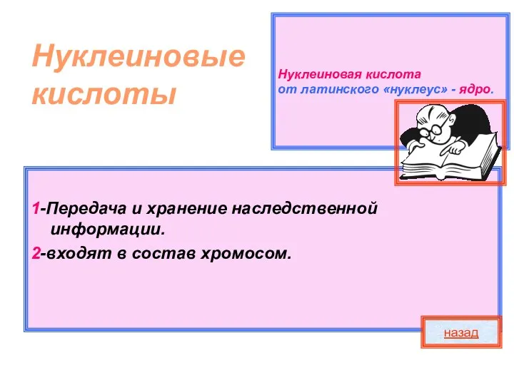 Нуклеиновая кислота от латинского «нуклеус» - ядро. Нуклеиновые кислоты 1-Передача