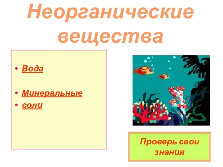 Неорганические вещества Вода Минеральные соли Проверь свои знания