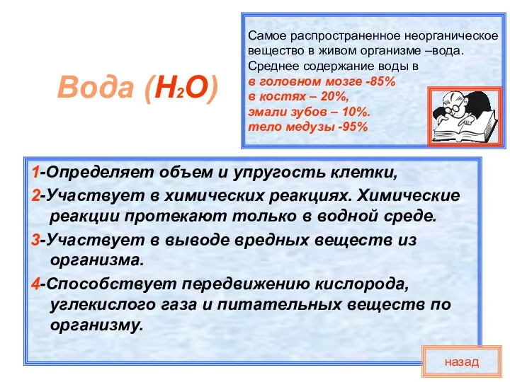 Самое распространенное неорганическое вещество в живом организме –вода. Среднее содержание