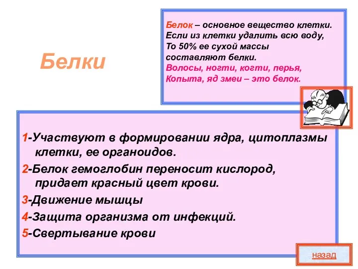 Белок – основное вещество клетки. Если из клетки удалить всю