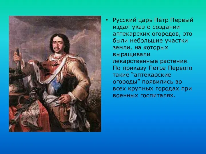 Русский царь Пётр Первый издал указ о создании аптекарских огородов,