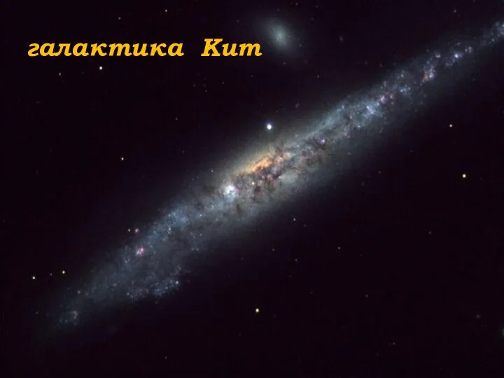 галактика Кит